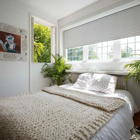 Le Manoir Shagall Bed and Breakfast Saint-Aubin-sur-Mer (Seine-Maritime)